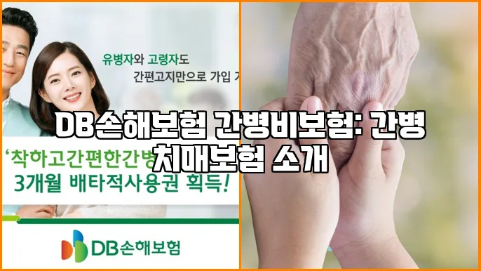 DB손해보험 간병비보험: 간병 치매보험 소개